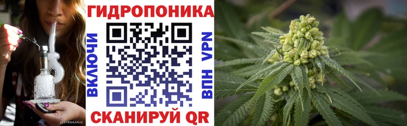 Купить закладку Галлюциногенные грибы  Alpha PVP  Гашиш  Codein  Мефедрон  COCAIN  Конопля  Ряжск