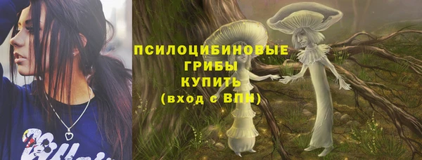 МДПВ Алексеевка